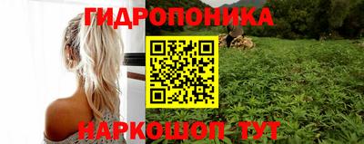 спайс Гусь-Хрустальный